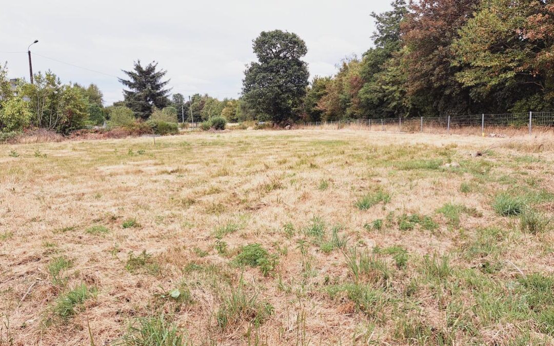 Terrain à bâtir Plélan-le-Grand – réf 35057-897