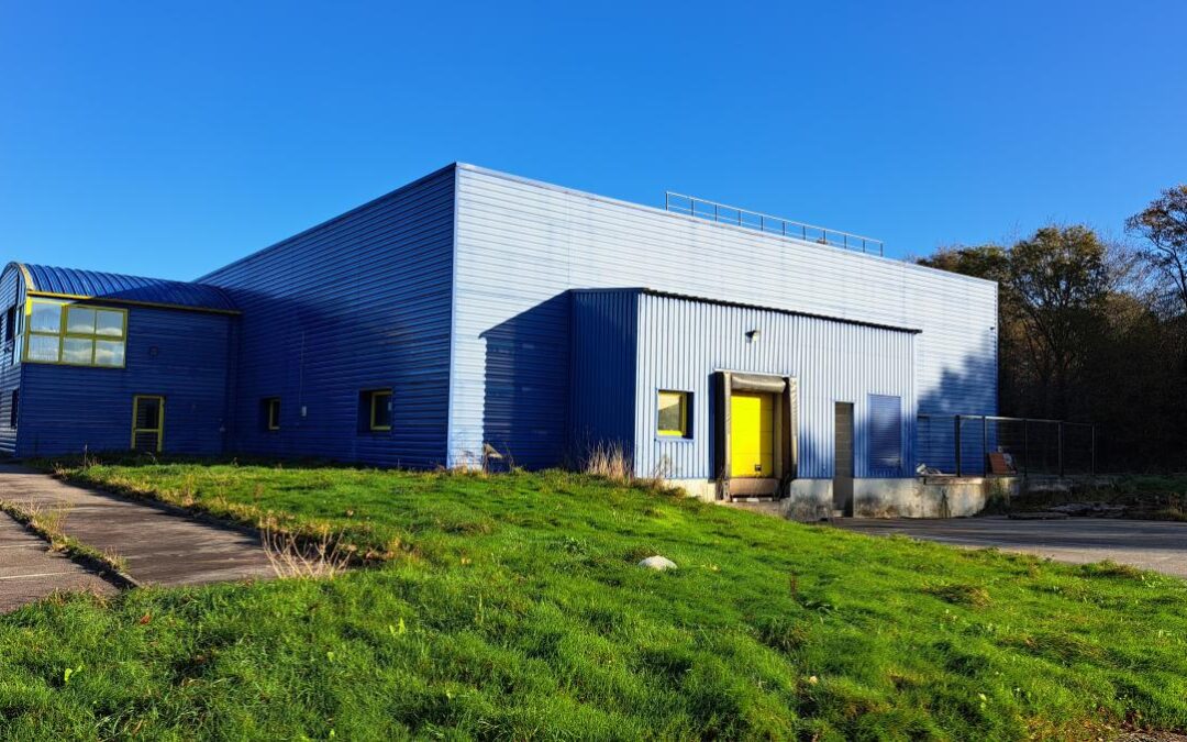 Fond/mur commercial Carentoir – réf 35057-876