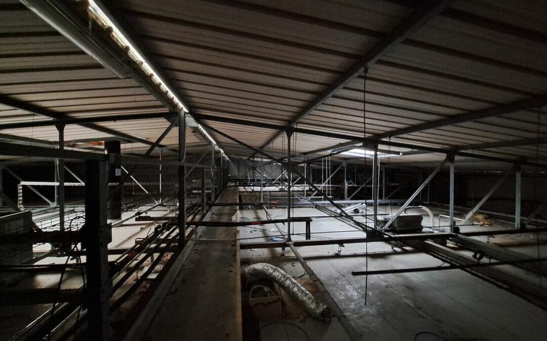 Fond/mur commercial Carentoir – réf 35057-876