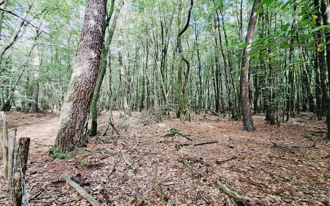 Terrain Plélan-le-Grand – réf 35057-904