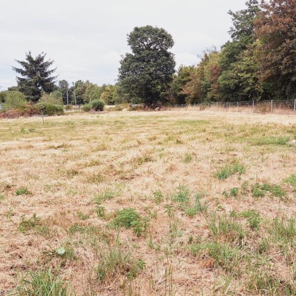 Terrain à bâtir Plélan-le-Grand - réf 35057-898