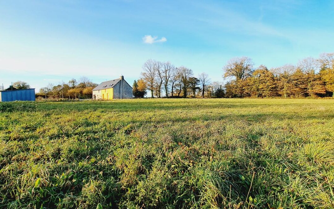 Maison Plélan-le-Grand – réf 35057-906