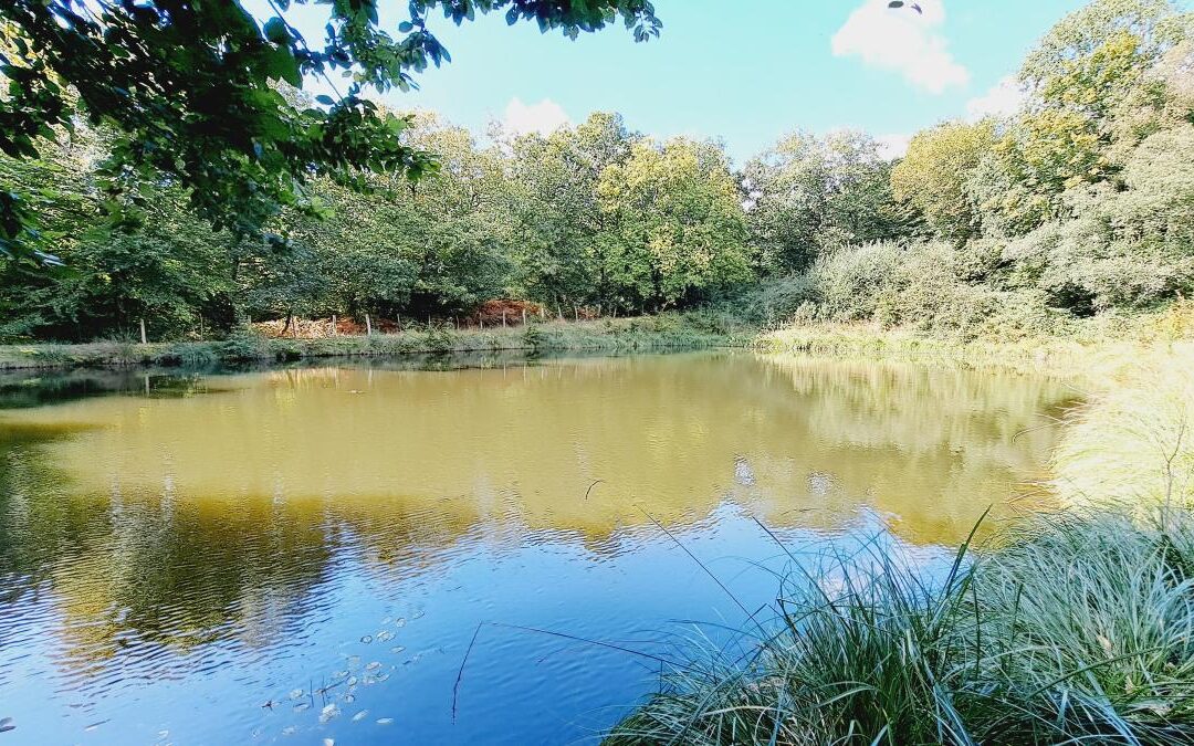 Terrain Paimpont – réf 35057-907