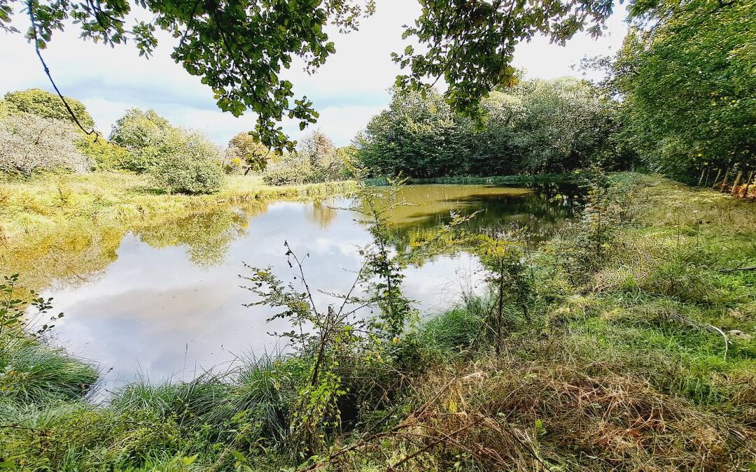 Terrain Paimpont – réf 35057-907