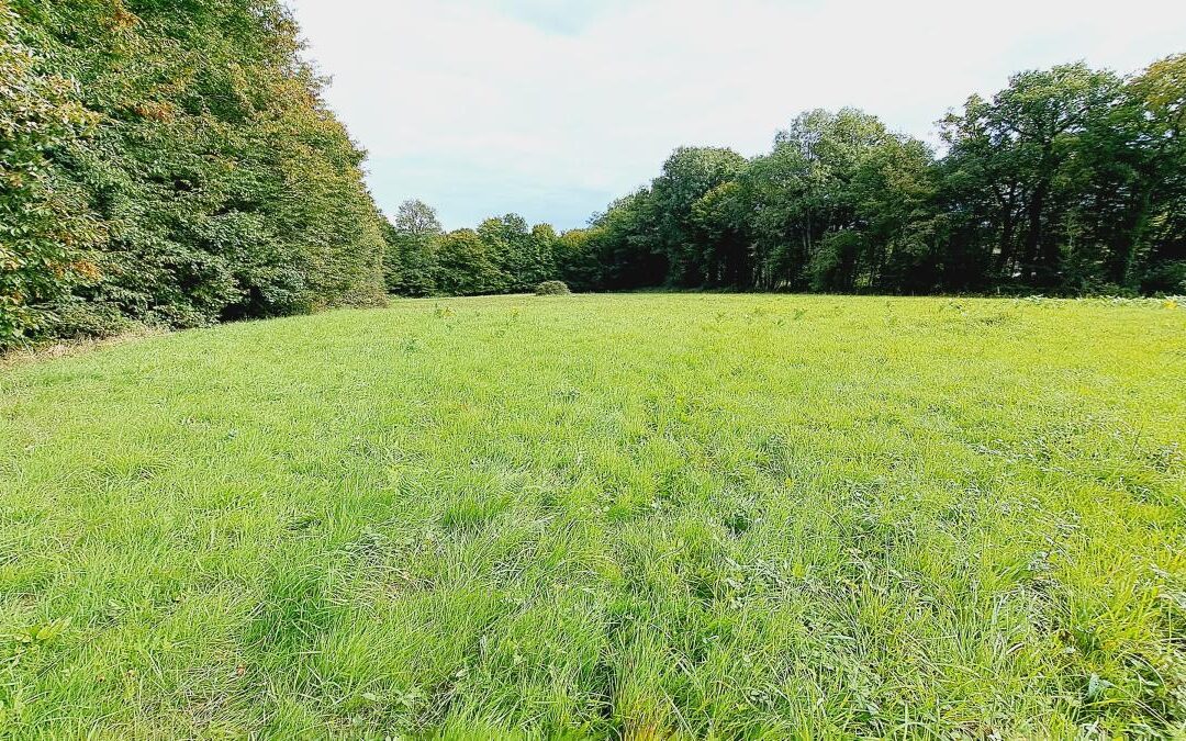 Terrain Paimpont – réf 35057-907