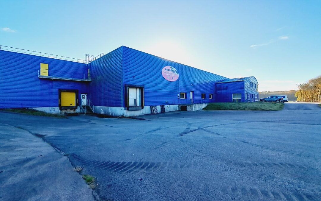 Fond/mur commercial Carentoir – réf 35057-876