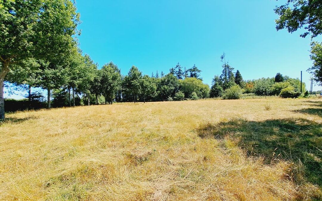 Maison Paimpont – réf 35057-894