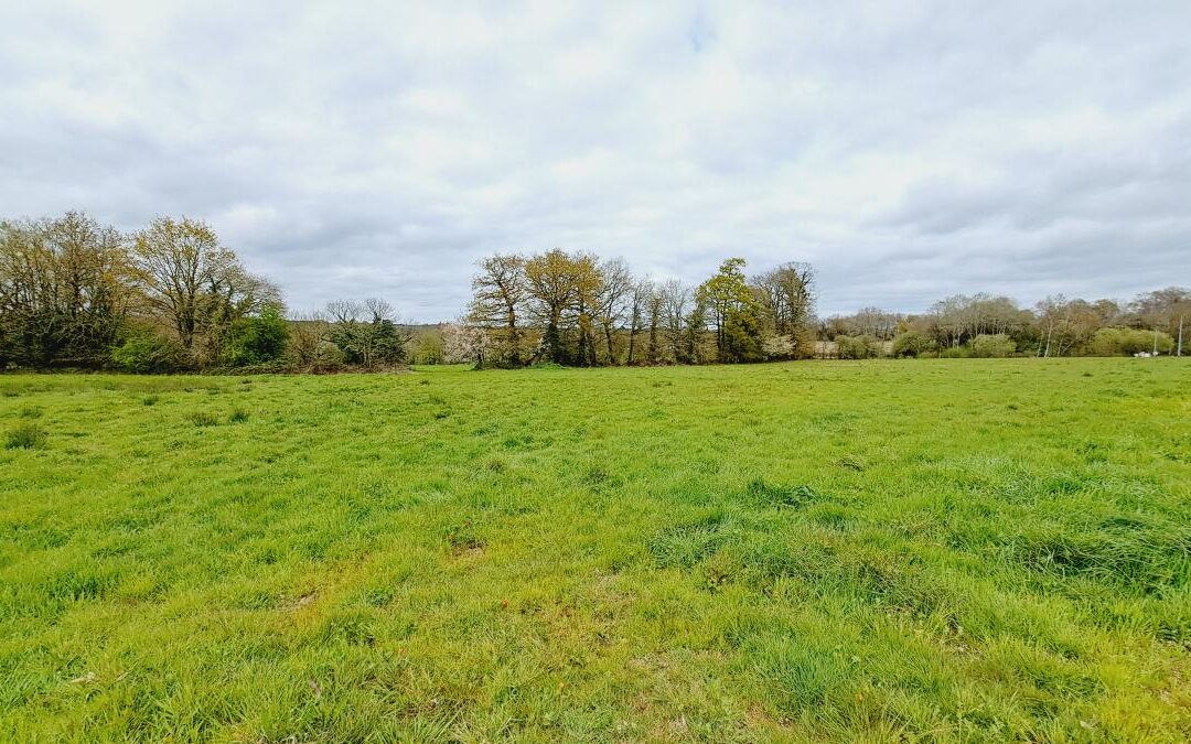 Terrain à bâtir Plélan-le-Grand – réf 35057-813