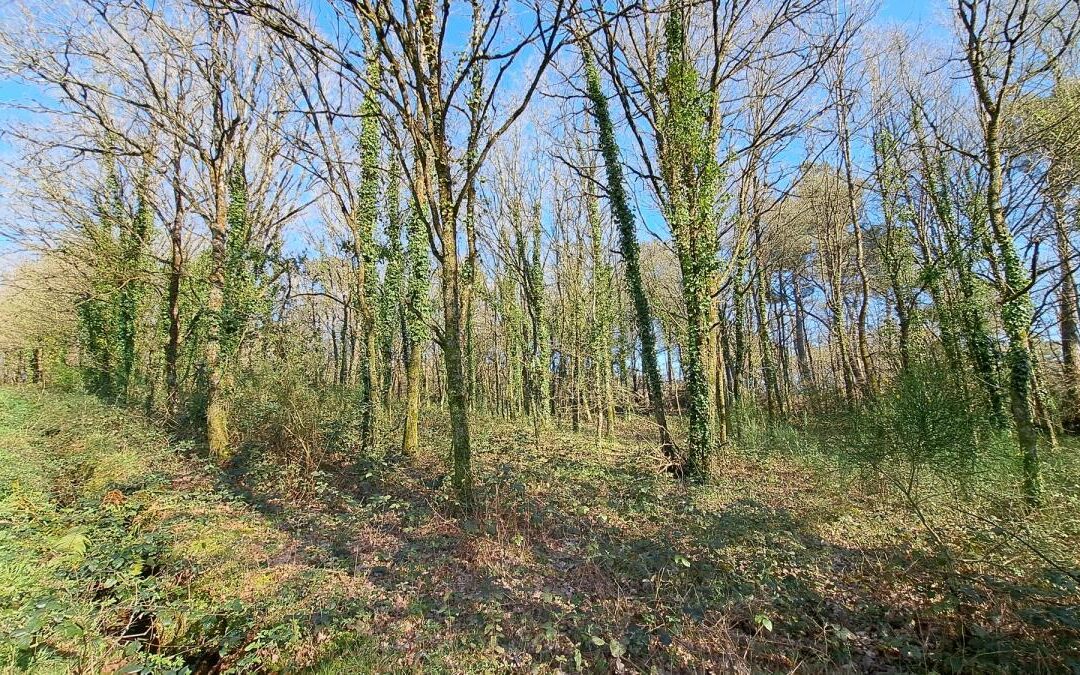 Terrain Plélan-le-Grand – réf 35057-926