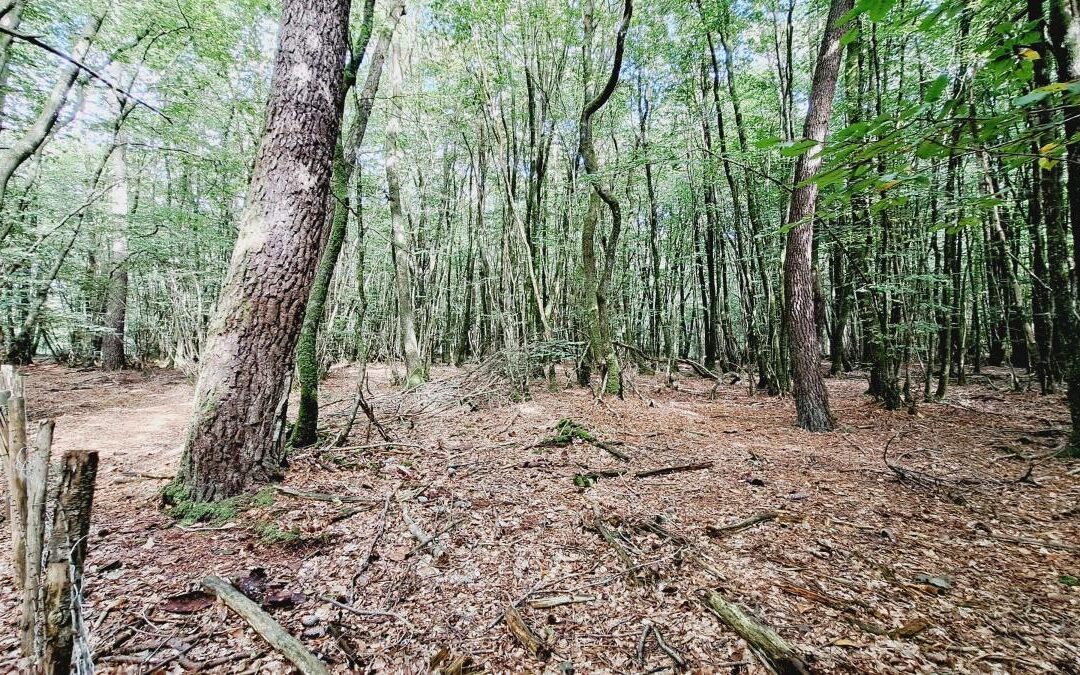 Terrain Plélan-le-Grand – réf 35057-904